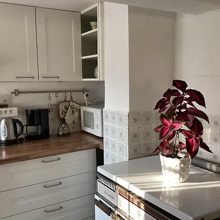 Chez Salome Et Fritz *