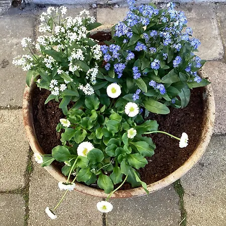 Σπίτι διακοπών Chez Salome Et Fritz *