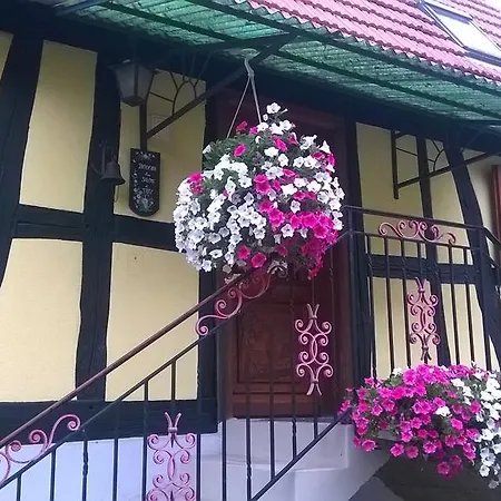Chez Salome Et Fritz * Ingolsheim