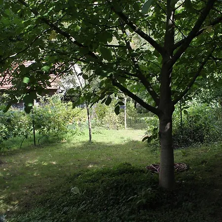 Chez Salome Et Fritz