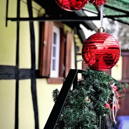 Chez Salome Et Fritz Ingolsheim