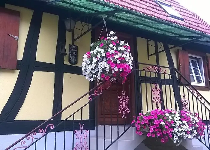 Chez Salome Et Fritz * Ingolsheim