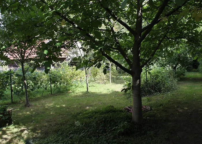 Chez Salome Et Fritz